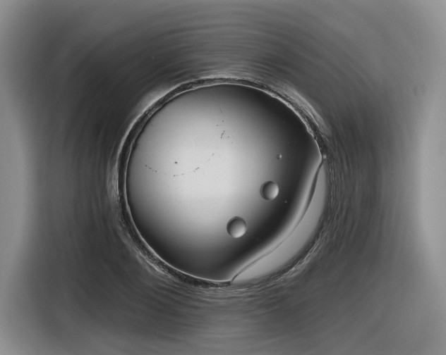 X0000116630884200912111215