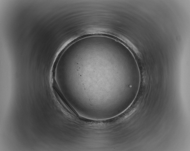 X0000116630885200912111215