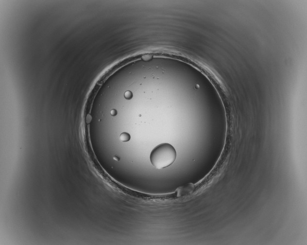 X0000116630888200912111214