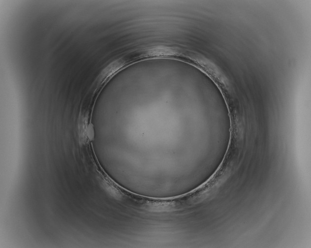 X0000116630889200912111214