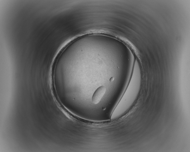 X0000116630894200912111214