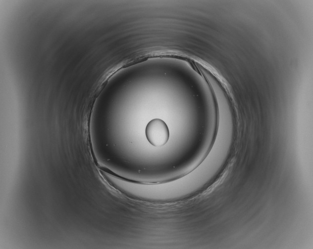 X0000116630897200912111214