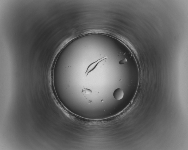 X0000116630898200912111214