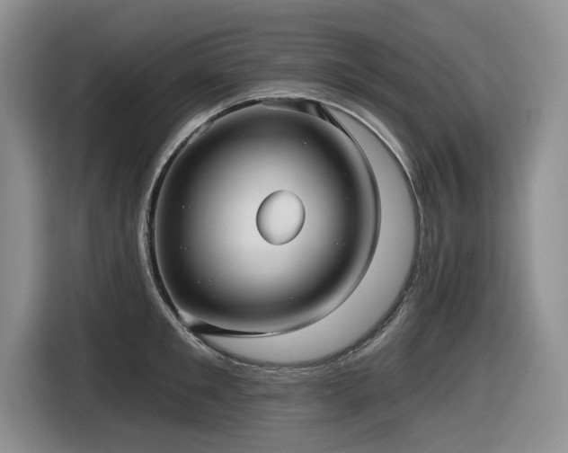 X0000116630901200912111214