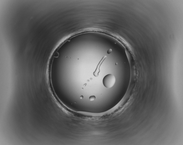 X0000116630902200912111214