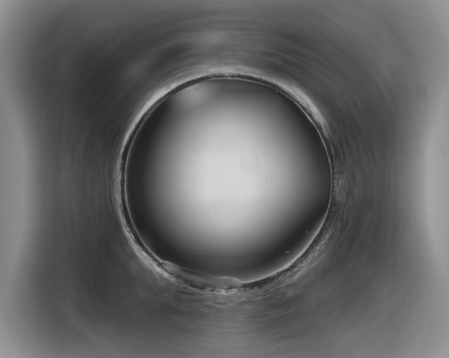 X0000116630903200912111214