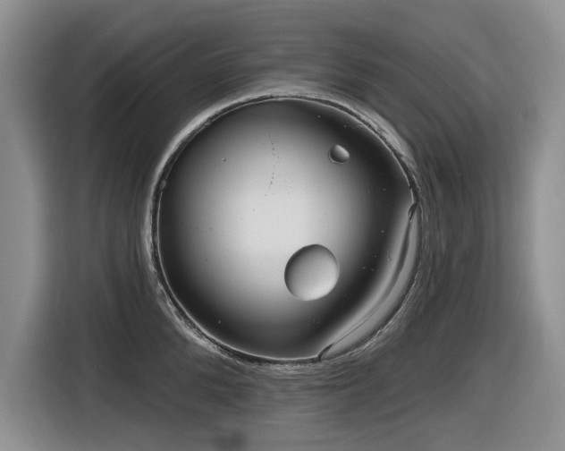 X0000116630904200912111214