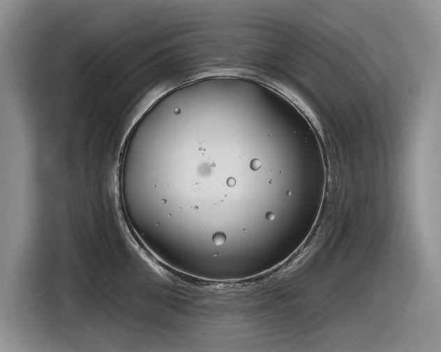 X0000116630906200912111214