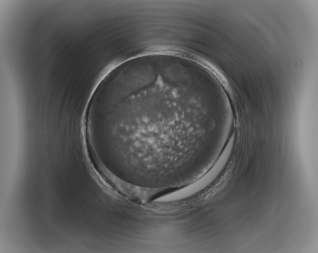 X0000116630907200912111214