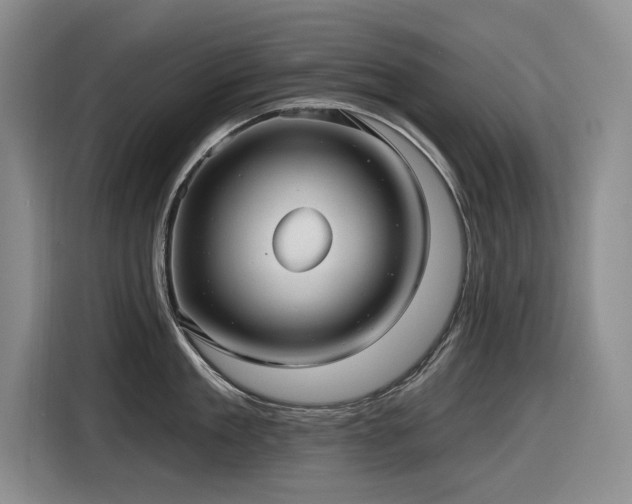 X0000116630909200912111214