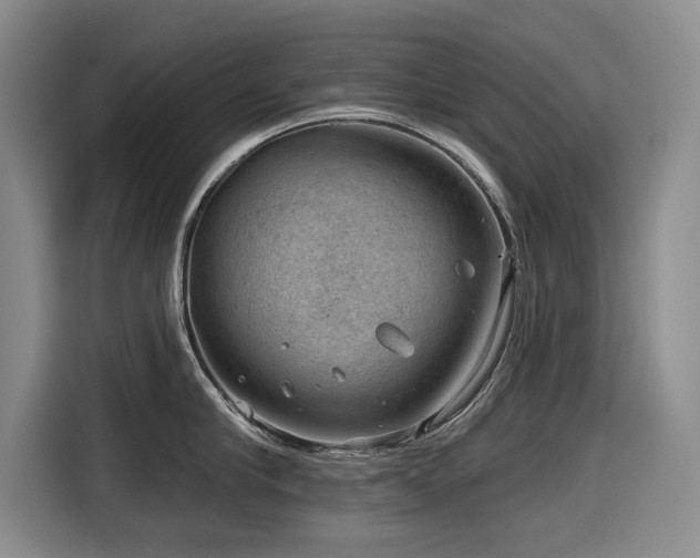 X0000116630910200912111214