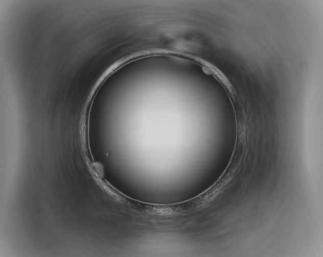 X0000116630911200912111214