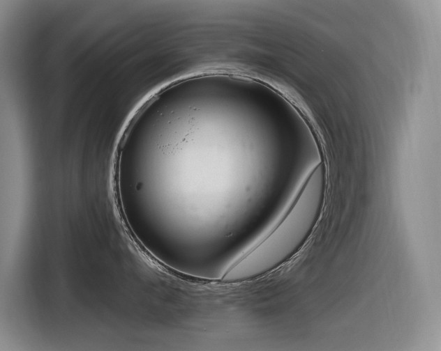 X0000116630912200912111214