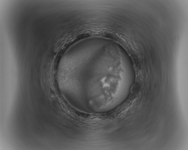 X0000116630913200912111214