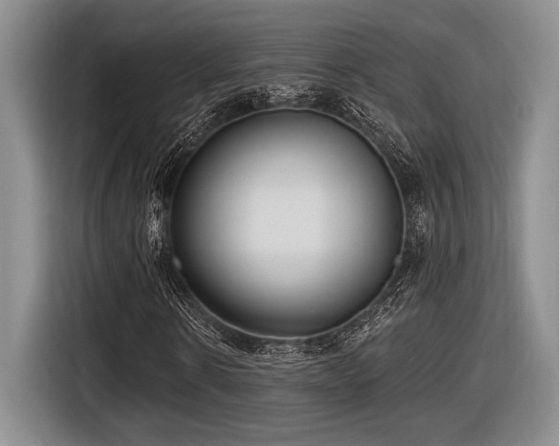 X0000116630914200912111214