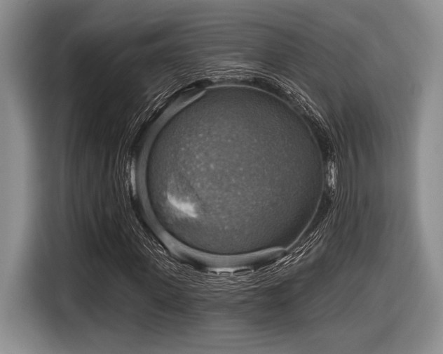 X0000116630915200912111214