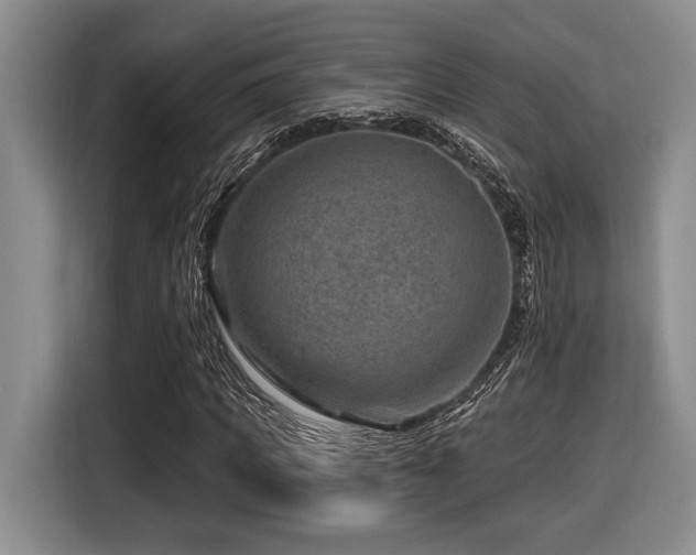 X0000116630917200912111214