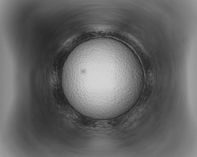 X0000116630918200912111214