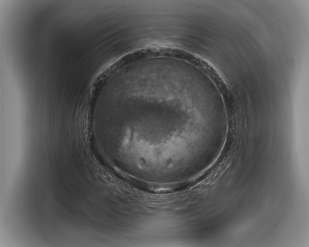 X0000116630919200912111214