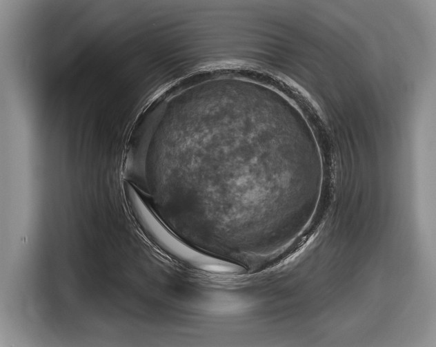 X0000116630921200912111214