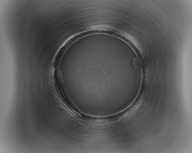 X0000116630923200912111214