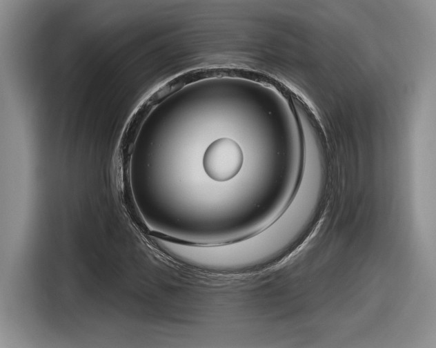 X0000116630925200912111214