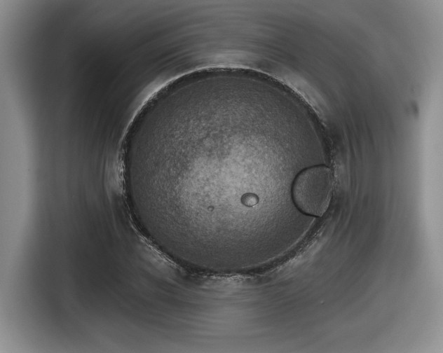 X0000116630926200912111214