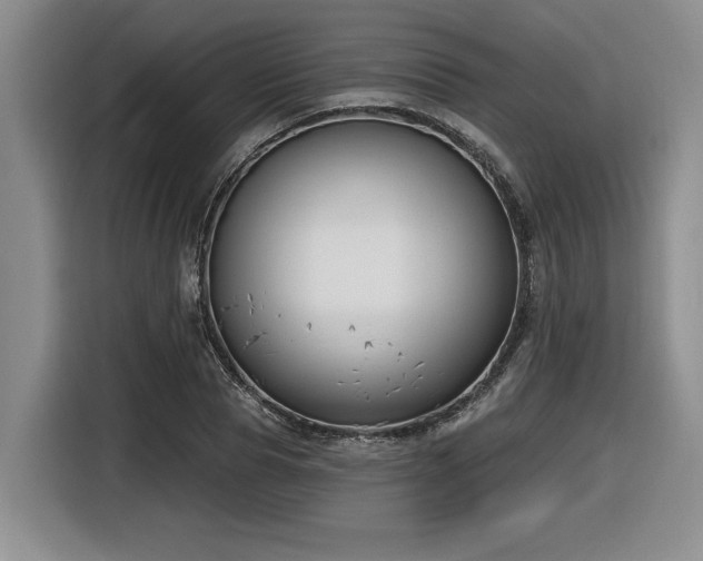 X0000116630929200912111214