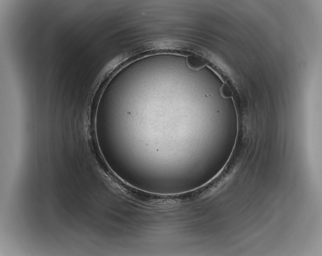 X0000116630930200912111214