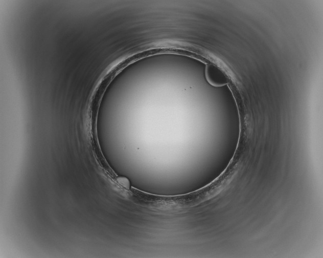 X0000116630931200912111214