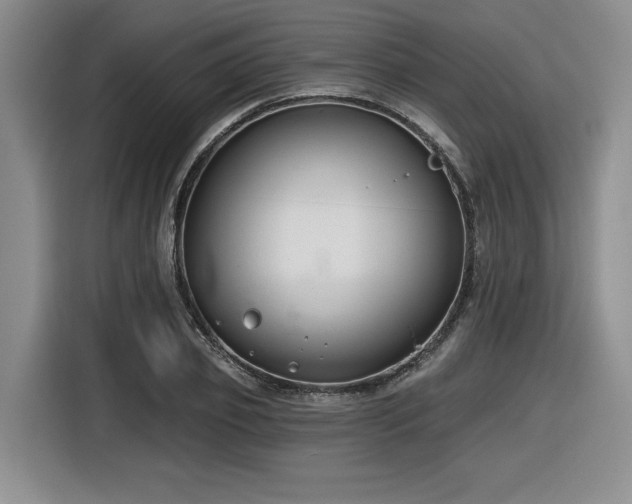 X0000116630933200912111214