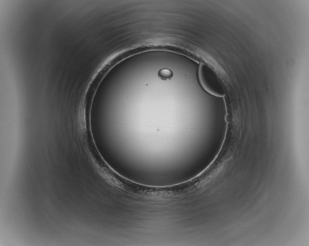 X0000116630934200912111214