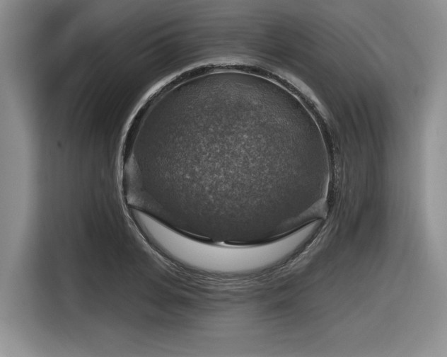 X0000116630935200912111214