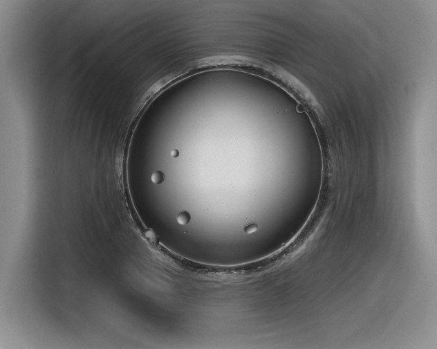 X0000116630937200912111214