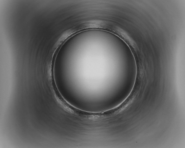 X0000116630938200912111214