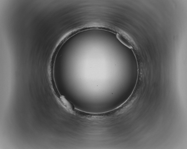 X0000116630942200912111214