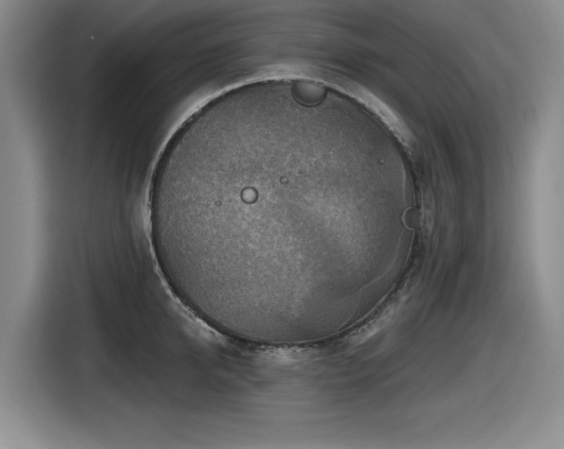 X0000116630950200912111214