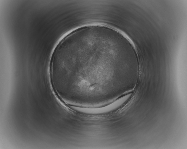 X0000116630951200912111214