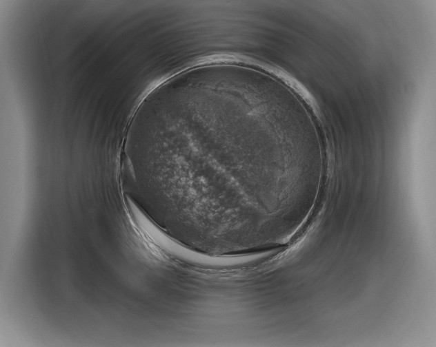 X0000116630953200912111214