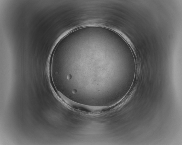 X0000116630957200912111214