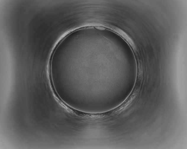 X0000116630958200912111214