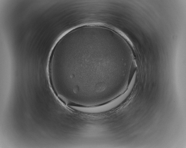 X0000116630959200912111214