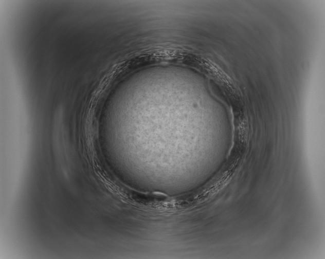 X0000116630961200912111214