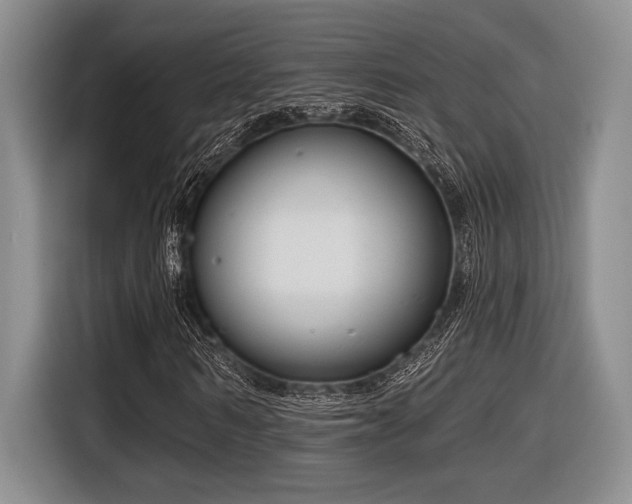 X0000116630962200912111214