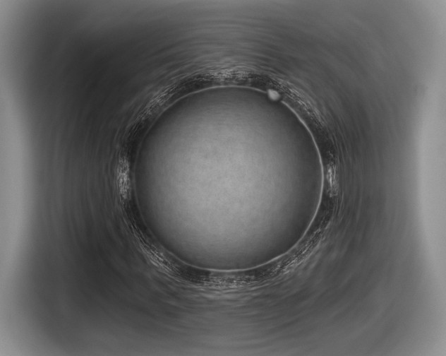 X0000116630963200912111213