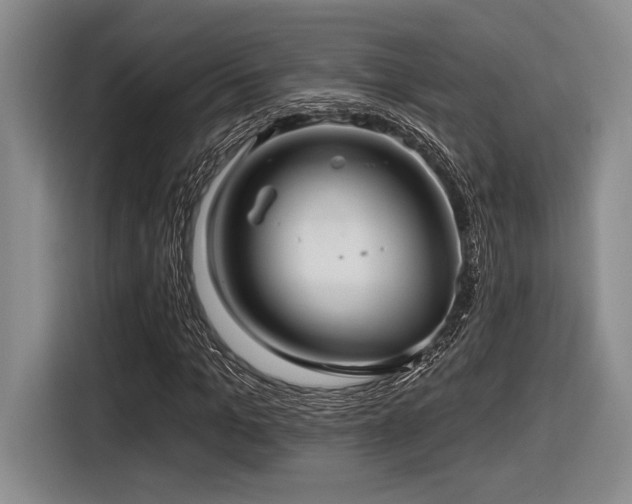 X0000116630965200912111213