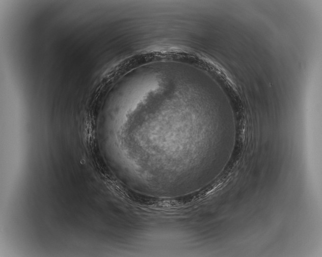 X0000116630966200912111213