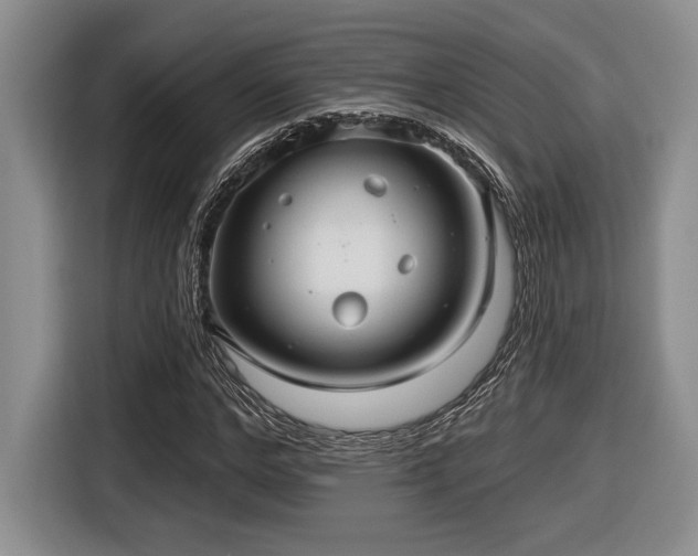 X0000116630968200912111213