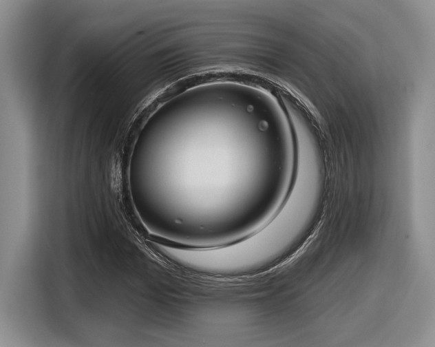 X0000116630969200912111213