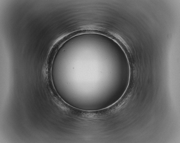 X0000116630971200912111213